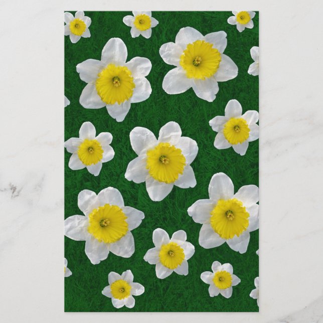 Papier Daffodiques de printemps (Devant)