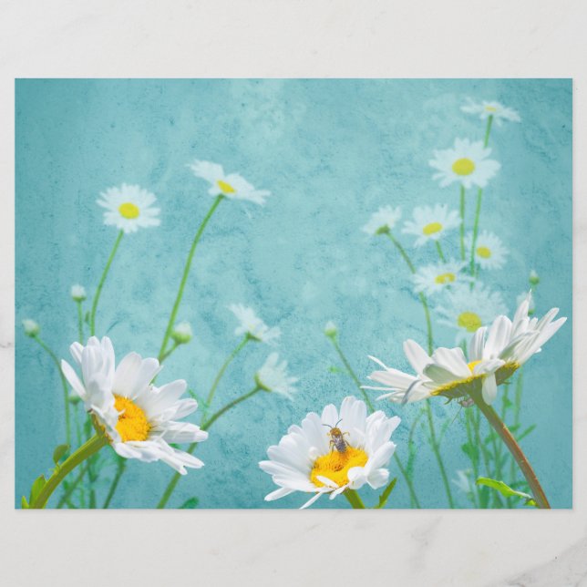 Papier Daisies on a blue background (Devant)