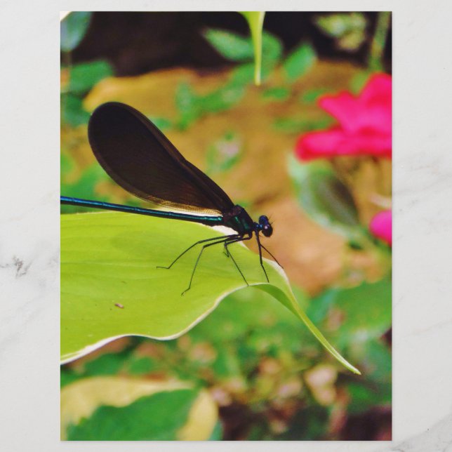 Papier Damselfly et Rose (Devant)