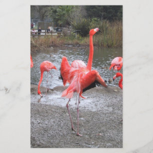 Papier danse flamande