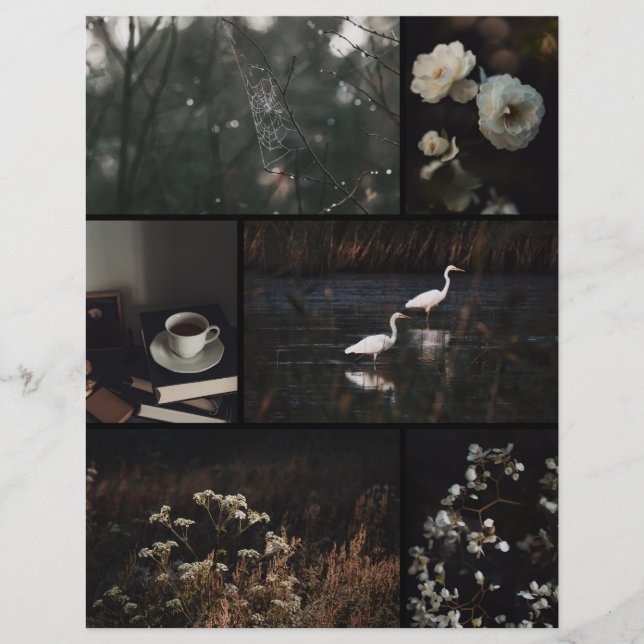 Papier de scrapbooking en collage sombre et lunati (Devant)