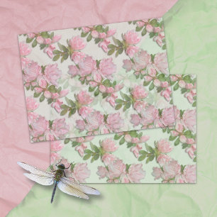 Papier de soie à motif floral Azalées roses