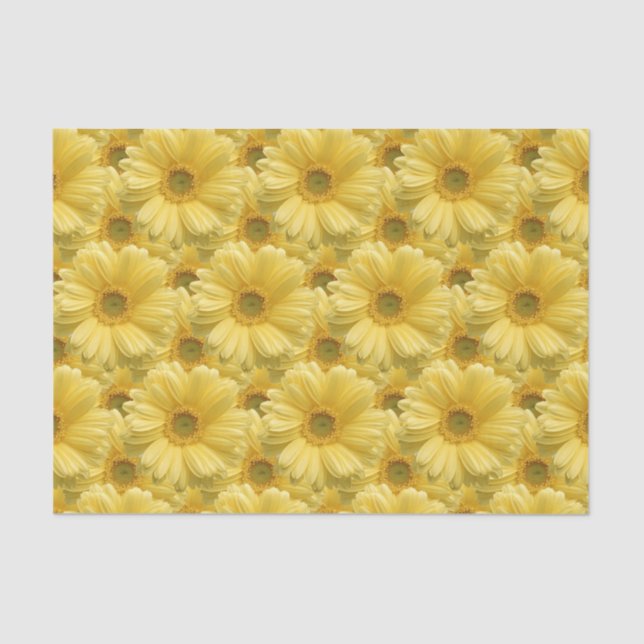 Papier de soie cadeau floral Marguerite jaune (Recto)