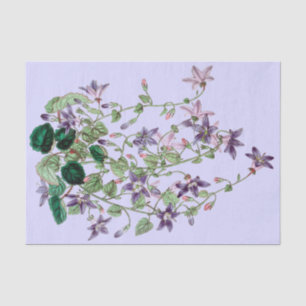 Papier de soie de remorquage de bleu et violet de