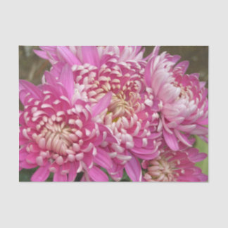 Papier de soie de soie assez rose