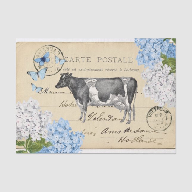 Papier de soie de soie bleu de carte postale de (Recto)