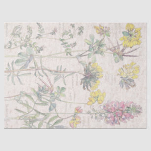Papier de soie de soie botanique de fleur de fleur