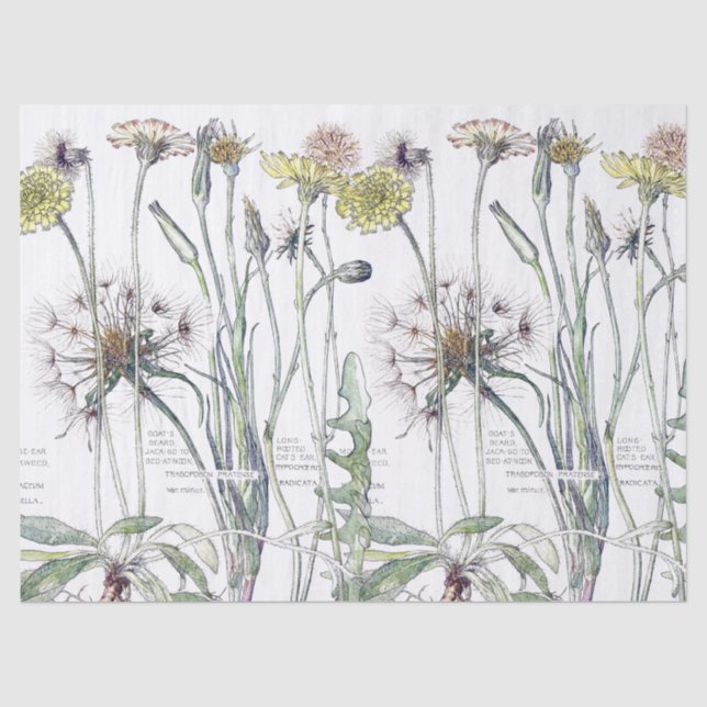 Papier de soie de soie botanique de fleurs (Recto)