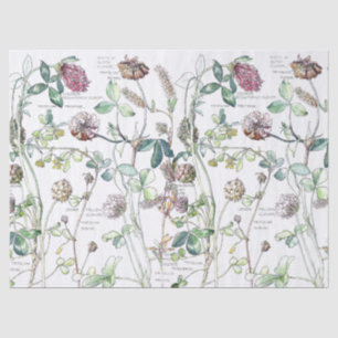 Papier de soie de soie botanique de fleurs