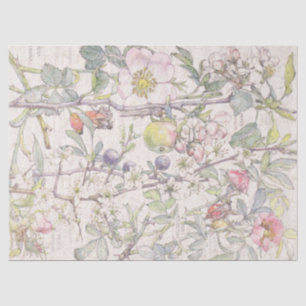 Papier de soie de soie botanique de fleurs de