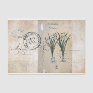 Papier de soie de soie botanique vintage