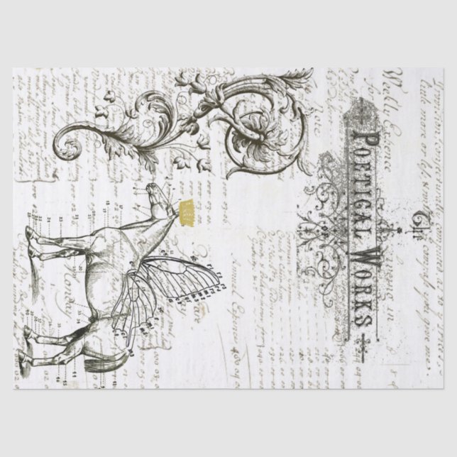 Papier de soie de soie de collage de Digitals de (Recto)