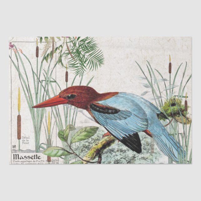 Papier de soie de soie de faune d'étang de Cattail (Recto)