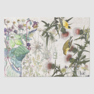 Papier de soie de soie de fleurs sauvages