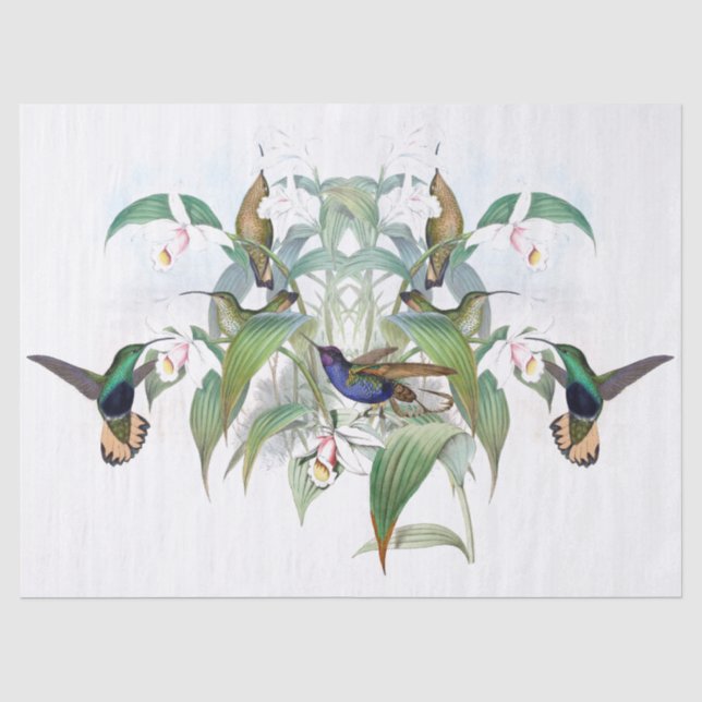 Papier de soie de soie floral d'orchidée animale (Recto)