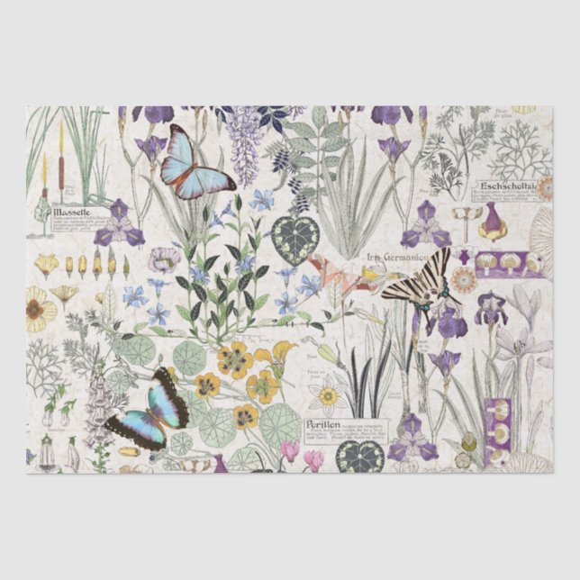 Papier de soie de soie français de fleurs de (Recto)