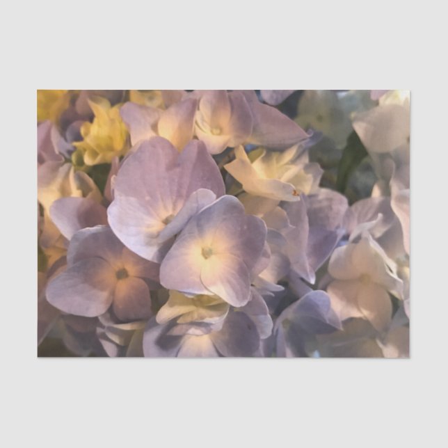 Papier de soie de soie pourpre de fleur (Recto)