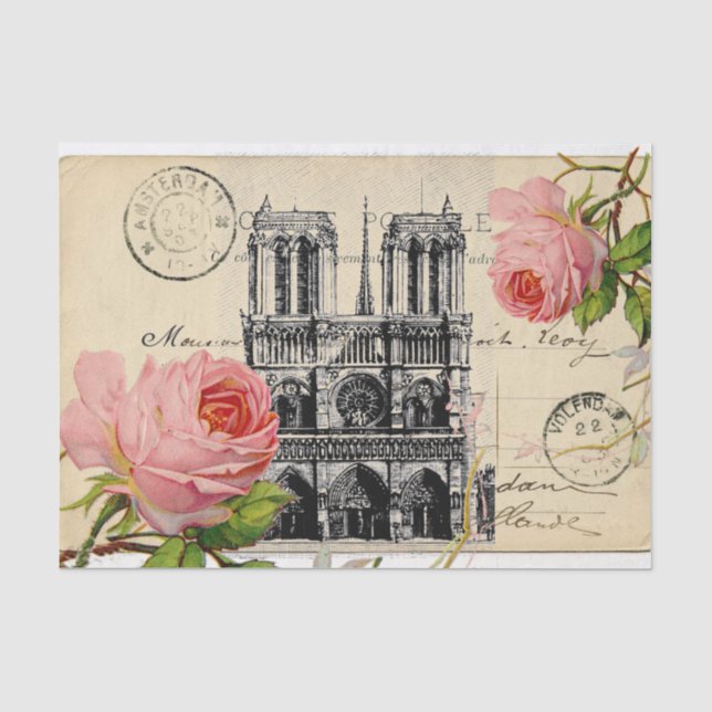 Papier de soie de soie rose de carte postale de (Recto)