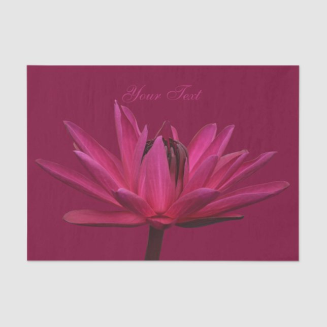 Papier de soie de soie rose de nénuphar de (Recto)