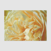 Papier de soie de soie rose d'ivoire