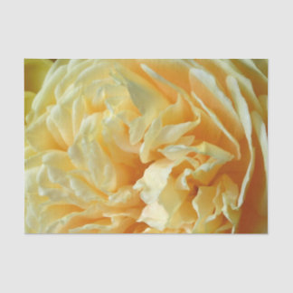 Papier de soie de soie rose d'ivoire