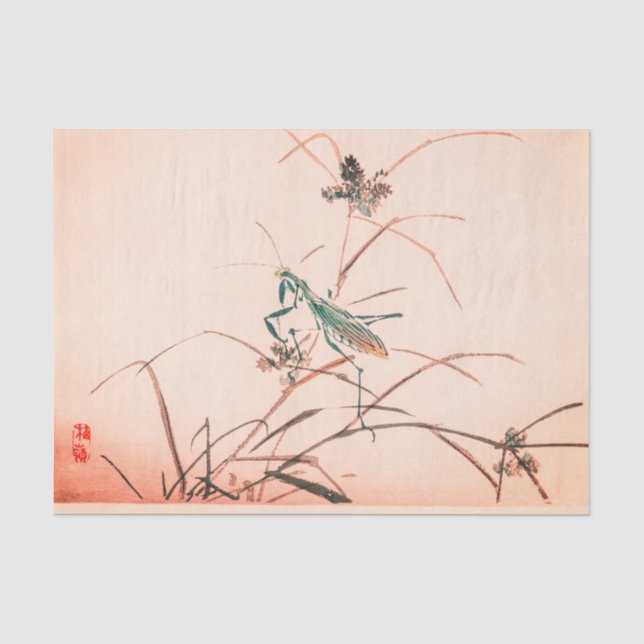 Papier de soie de soie ROSE JAPONAIS de MANTE de (Recto)