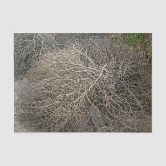 Papier de soie de soie rustique d'amarante (Recto)