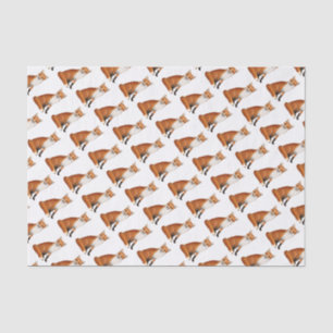 Papier de soie de soie se reposant de faune de Fox