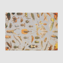 Papier de soie de soie TRÈS FRAIS d'INSECTE