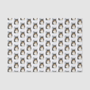 Papier de soie de soie tricolore de Noël de