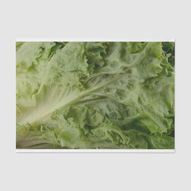 Papier de soie de soie vert de laitue de feuille (Recto)
