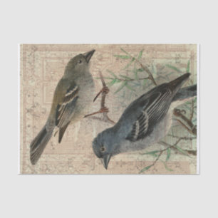 Papier de soie de soie vintage de collage d'oiseau