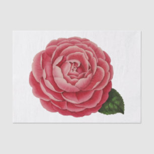 Papier de soie floral Fleur de Camellia #1