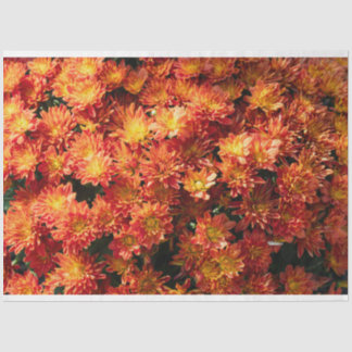 Papier de soie pour fleurs