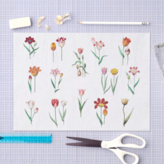 Papier de soie Tulipes