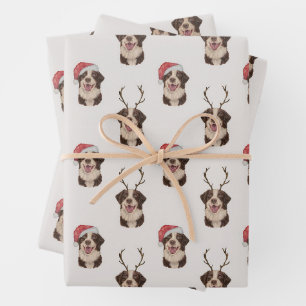 Papier d'emballage de Noël du berger australien