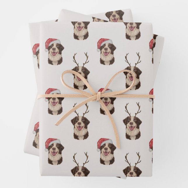 Papier d'emballage de Noël du berger australien (En situation)