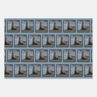 Papier D'Emballage D'Un Sceau D'Éléphant (Mix)