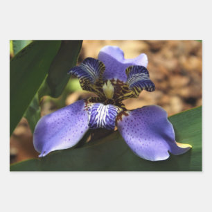 Papier d'emballage en iris marchant