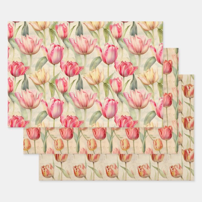 Papier d'emballage Tulip (Lot)