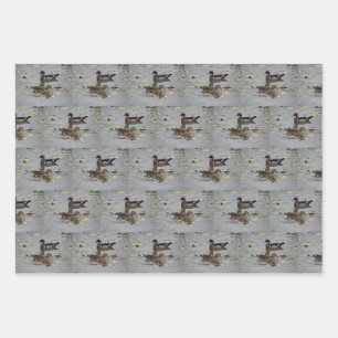 Papier d'enrobage de canards de bois