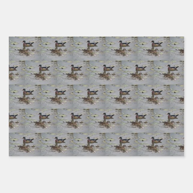 Papier d'enrobage de canards de bois (Devant)