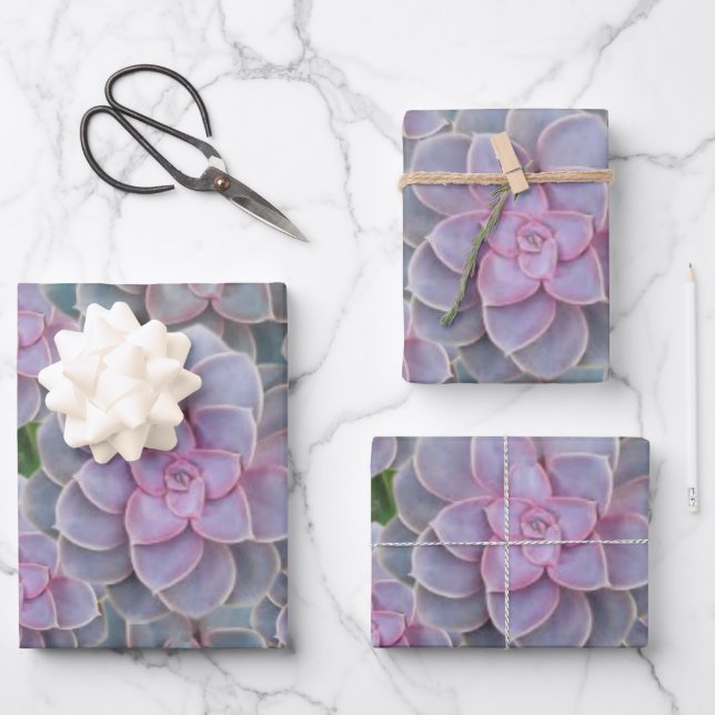 Papier d'enrobage floral Succulent pourpre (Recto)