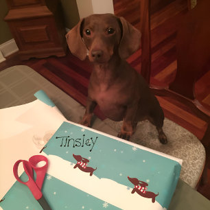 Papier d'enveloppement cadeau Snowy Dachshund Scar