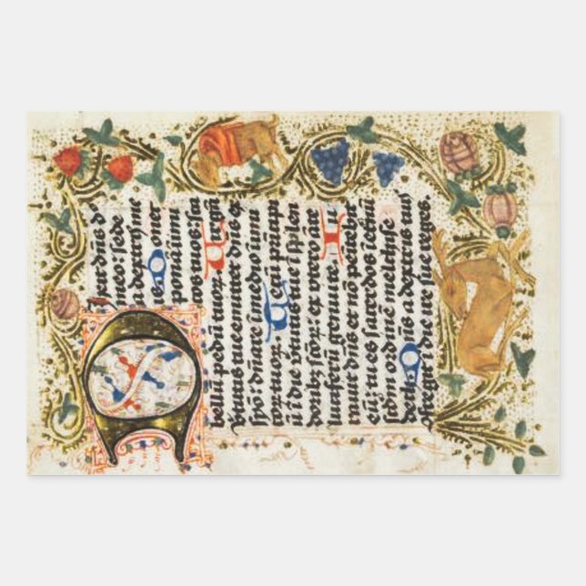 Papier d'enveloppement de manuscrit éclairé (Devant)