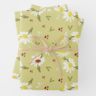 Papier d'enveloppement de marguerites et de coccin