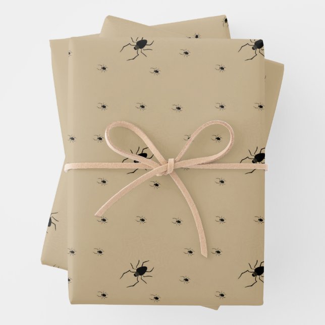 Papier d'enveloppement déplaisant d'araignée d'Hal (En situation)