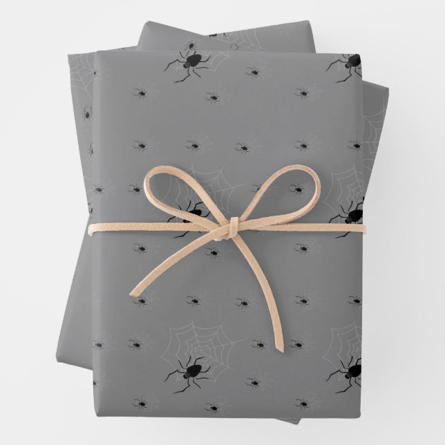 Papier d'enveloppement déplaisant d'araignée d'Hal (En situation)