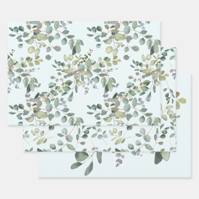 Papier d'enveloppement d'Eucalyptus Feuille plate  (Lot)
