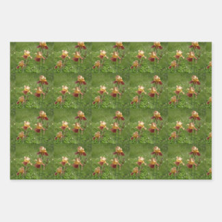 Papier d'enveloppement Iris